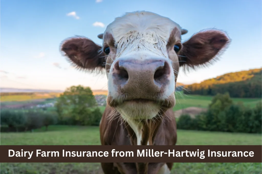 Dairy Farm Insurance