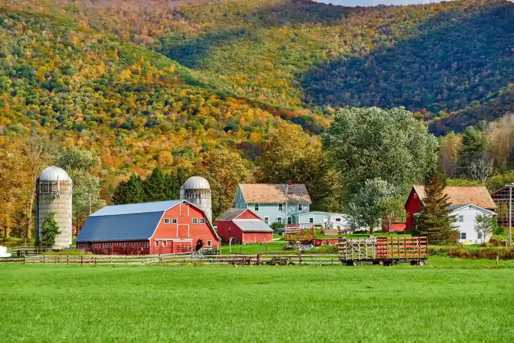 Farm Insurance