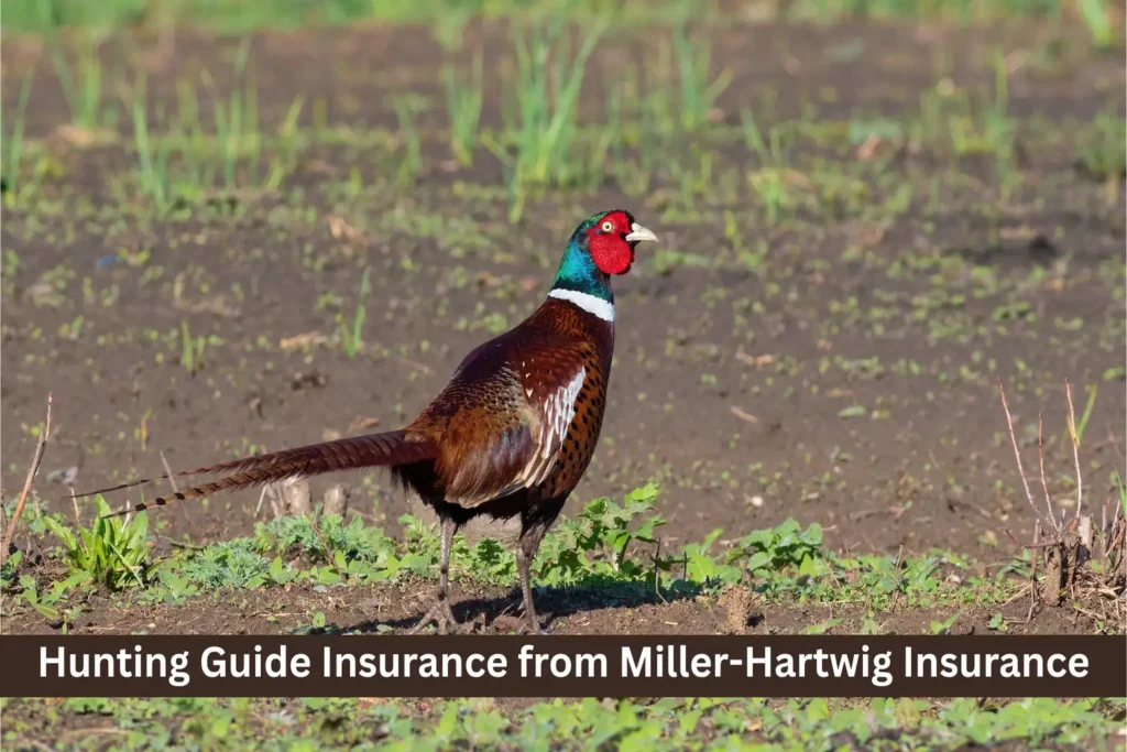 Hunting Guide Insurance