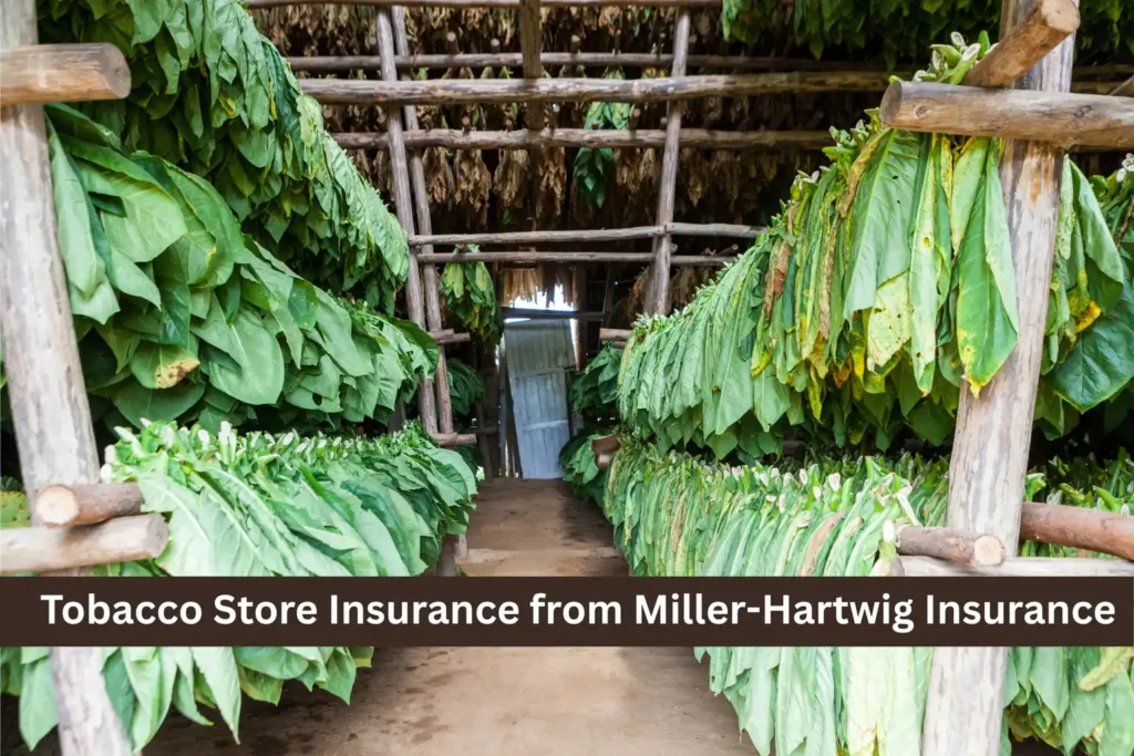 Tobacco Store Insurance